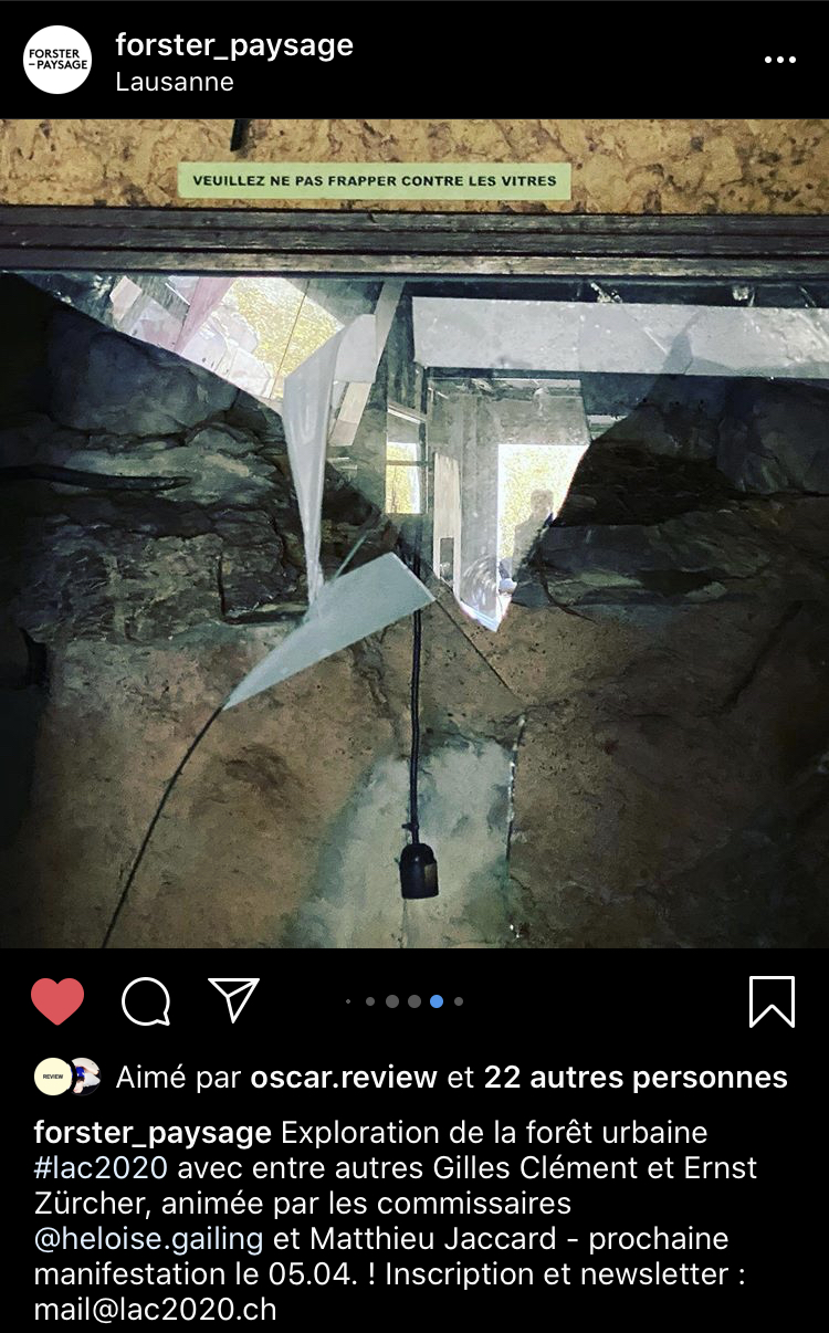 Capture d’écran Instagram / Forster Paysage